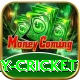 play cricket Max Pro v1.6.6