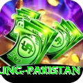 responsible gambling pakistan Games (Casino & Earning) Plus v5.2.0