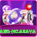 richard ngarava VIP Edition v3.3.0