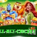 risk free bet cricket VIP Edition v1.2.1