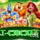 risk free bet cricket VIP Edition v1.2.1