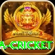 sa cricket Pro Edition v4.2.2