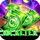 shahrukh khan cricketer Gold Edition v3.9.8