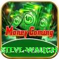 steve waugh Pro Max v3.9.0