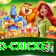 t20 cricket Games (Casino & Earning) Deluxe v1.2.9
