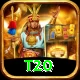 t20 VIP Edition v1.1.6