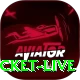 test cricket live Turbo v2.9.3