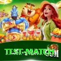 test match Premium Edition v5.0.6