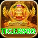 tiger888 Plus v2.2.2
