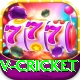 v cricket Premium v5.2.1