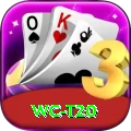 wc t20 Apps (Tools & Injectors) Gold v2.1.3