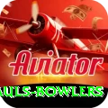 wicket hauls bowlers Premium v5.2.7