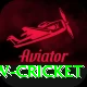 willow cricket Premium Edition v4.9.2