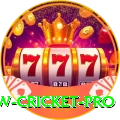 willow cricket - Real Money Super