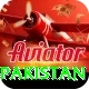 win money online pakistan Apps (Tools & Injectors) Pro v5.0.3