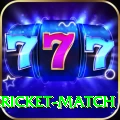 women cricket match VIP Edition v5.6.6