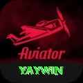 yaywin Pro1 v2.8.9