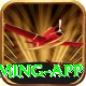 z777 Mega Gaming App